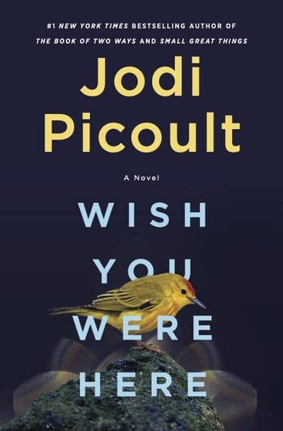 jodi picoult books