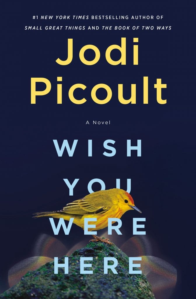 jodi picoult new book