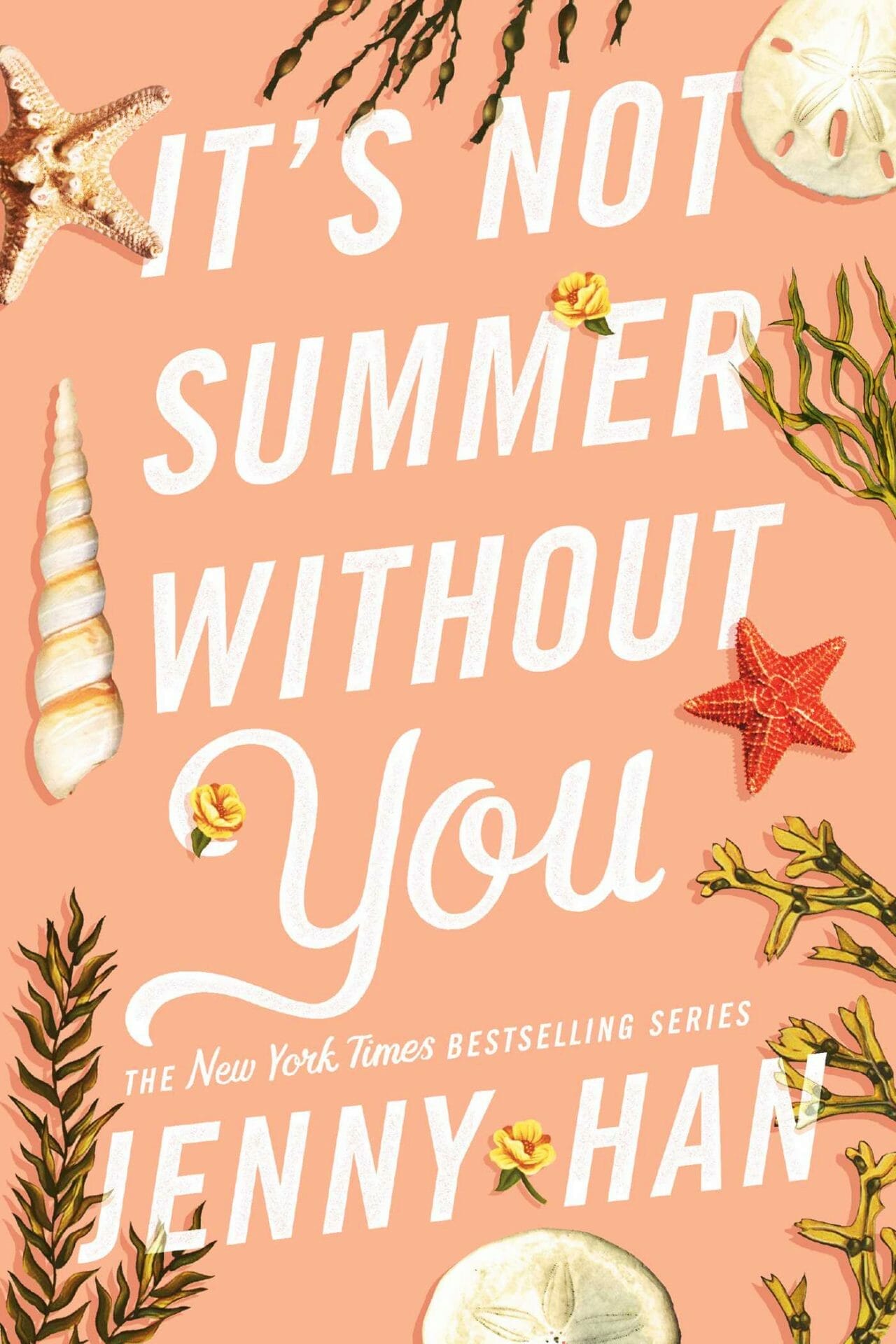 It's Not Summer Without You book cover