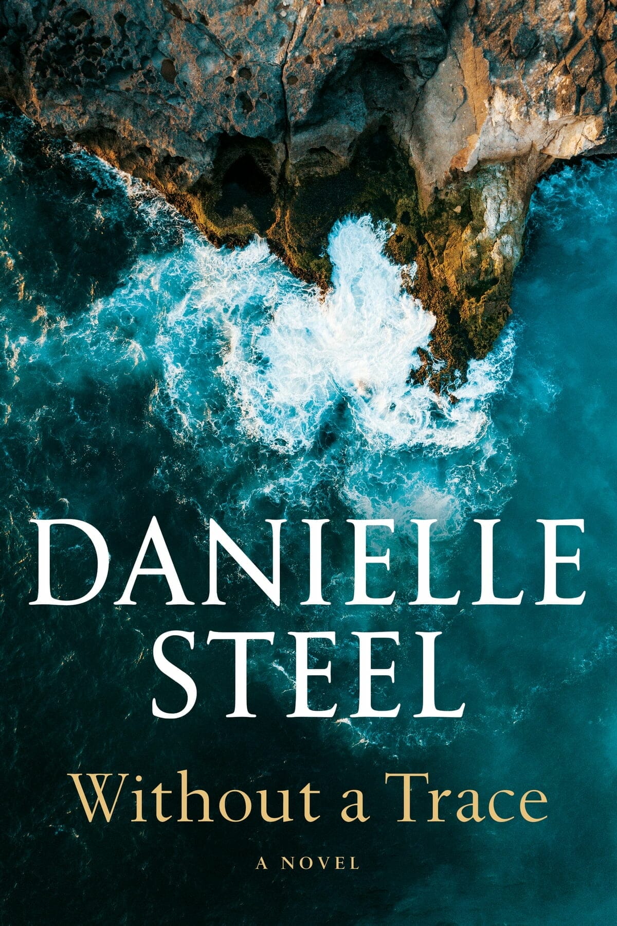 Danielle Steel New Book Worthy Opponents Out Now RD   Without A Trace 