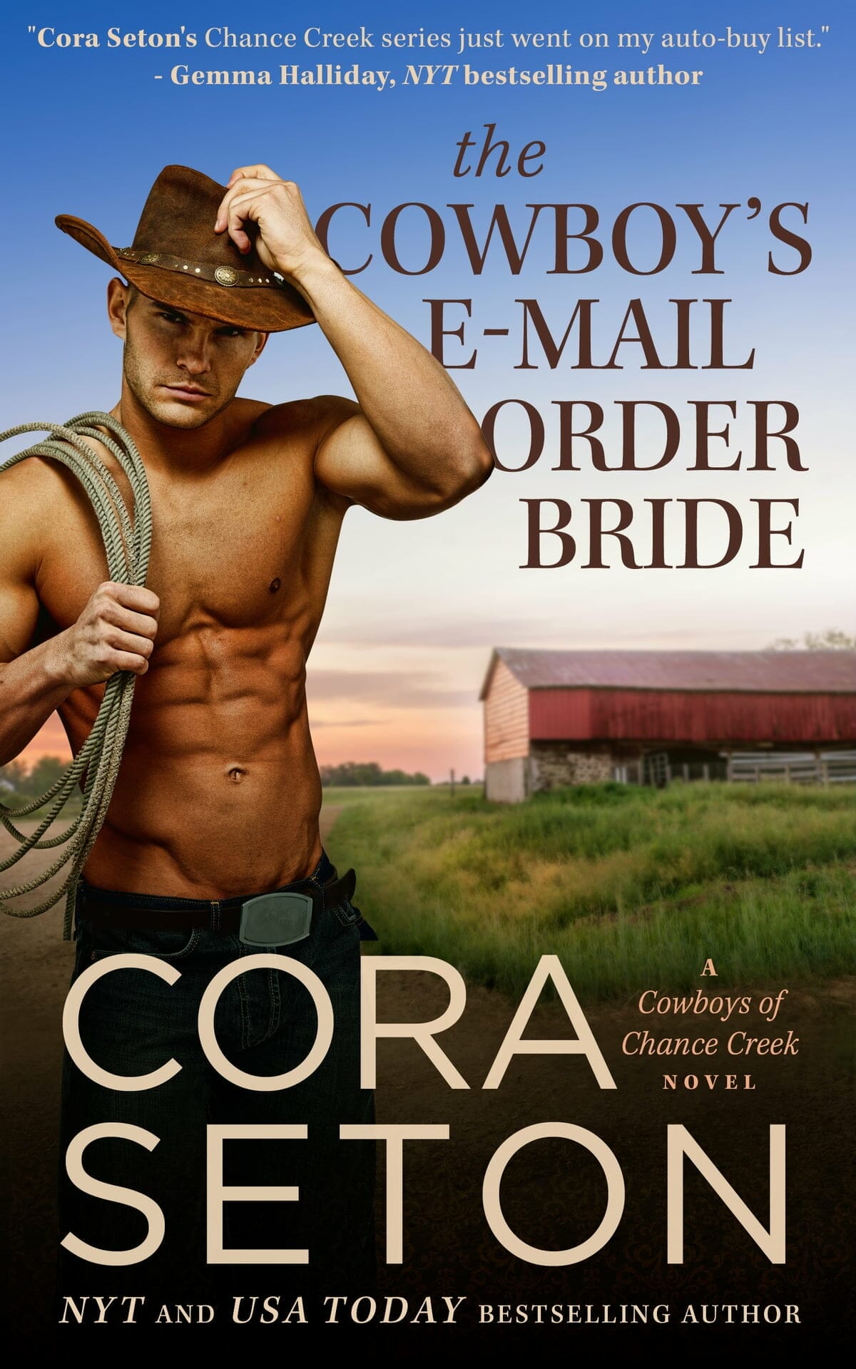 Cowboy Romance Books